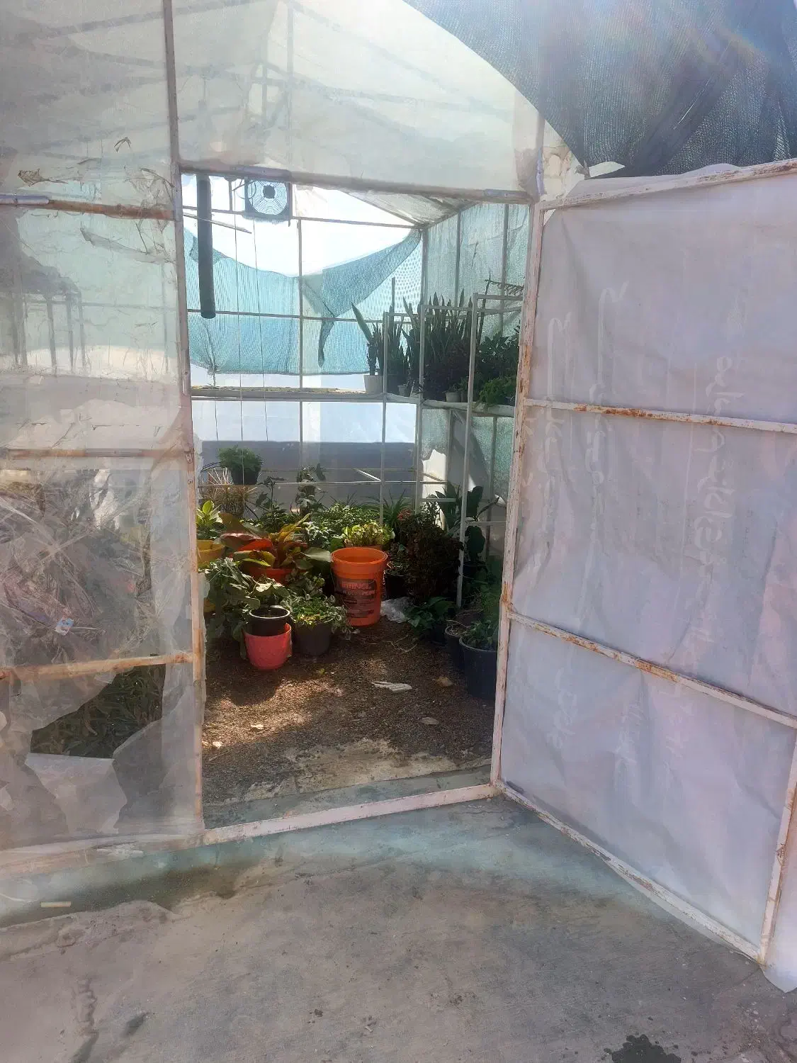 سازه آهنی|مصالح و تجهیزات ساختمان|کنگاور, |دیوار