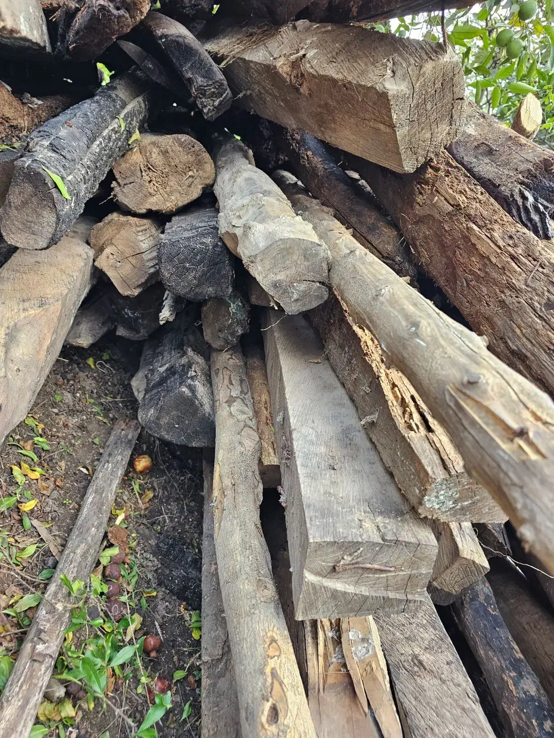 چوب سربندی طویله|مصالح و تجهیزات ساختمان|عباسآباد, |دیوار