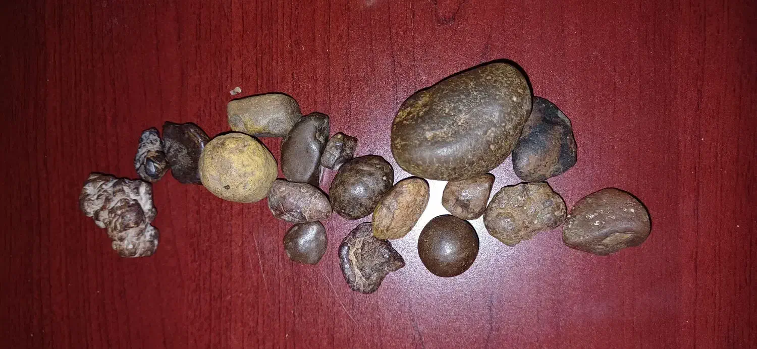 شهابسنگ|کلکسیون اشیاء عتیقه|شیروان (خراسان), |دیوار