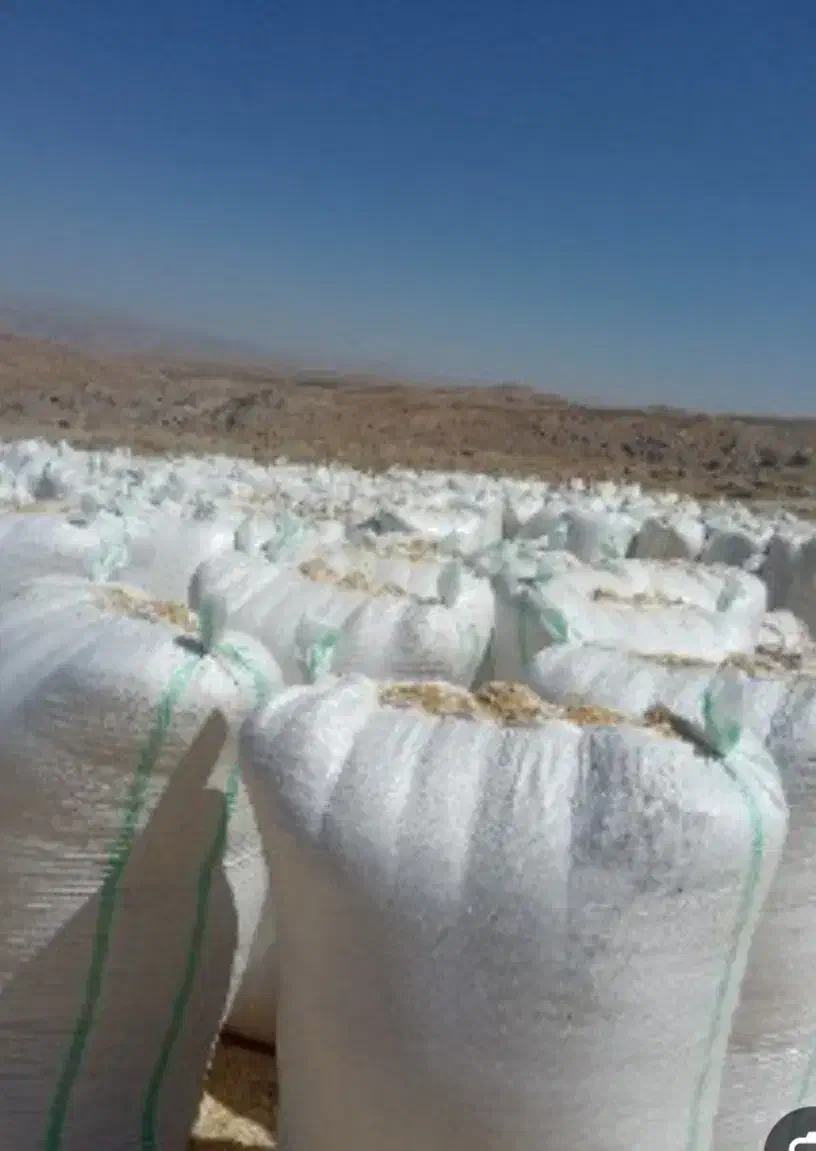 کاه لوبیاچیتی 70روزه خوب اماده|لوازم جانبی حیوانات|خرمدره, |دیوار