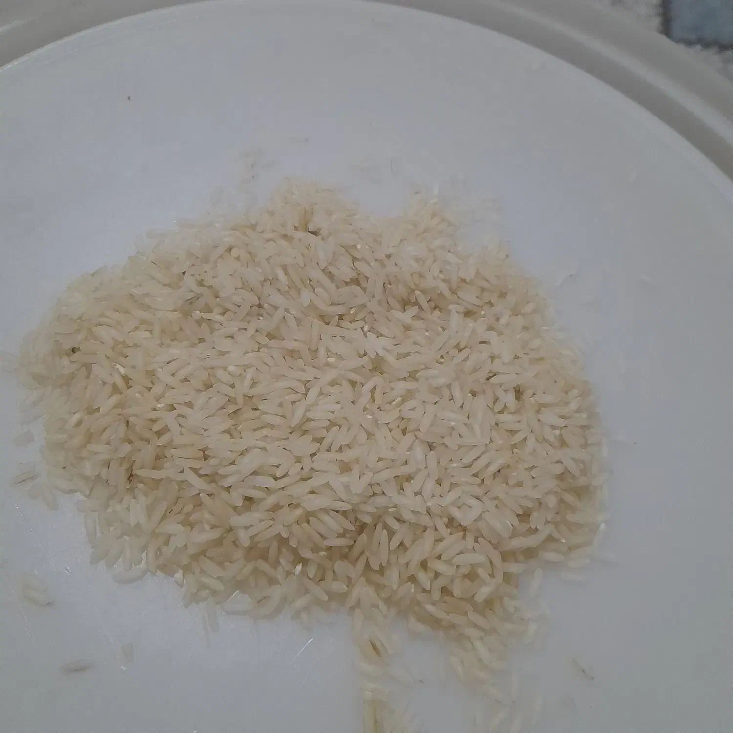 برنج طارم کشت دوم|خوردنی و آشامیدنی|بابل, |دیوار