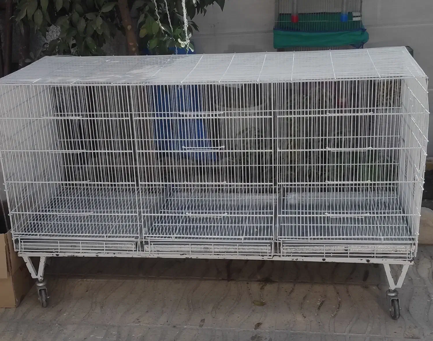 قفس پران اردشیر|لوازم جانبی حیوانات|مرودشت, ابوذر شمالی|دیوار