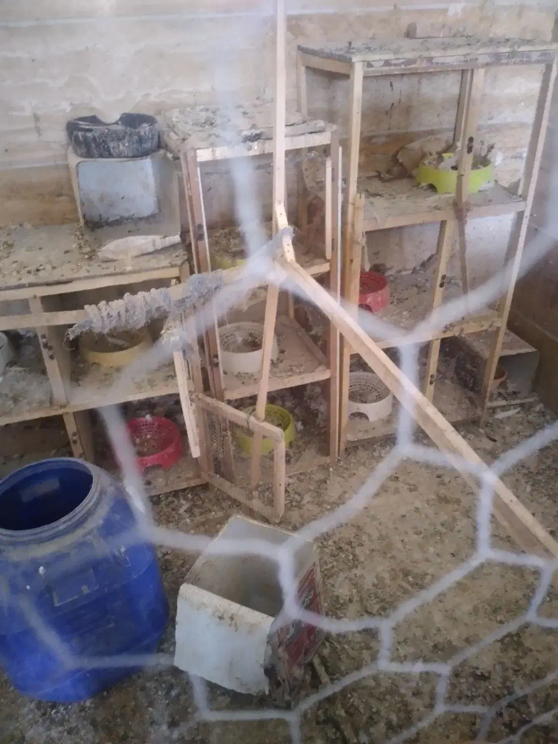 قفس و جفت کن کبوتر|لوازم جانبی حیوانات|ملایر, |دیوار