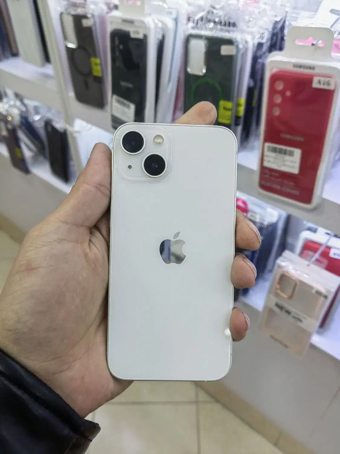 اپل ایفون 13|موبایل|مشهد, حجاب (شهرک غرب)|دیوار