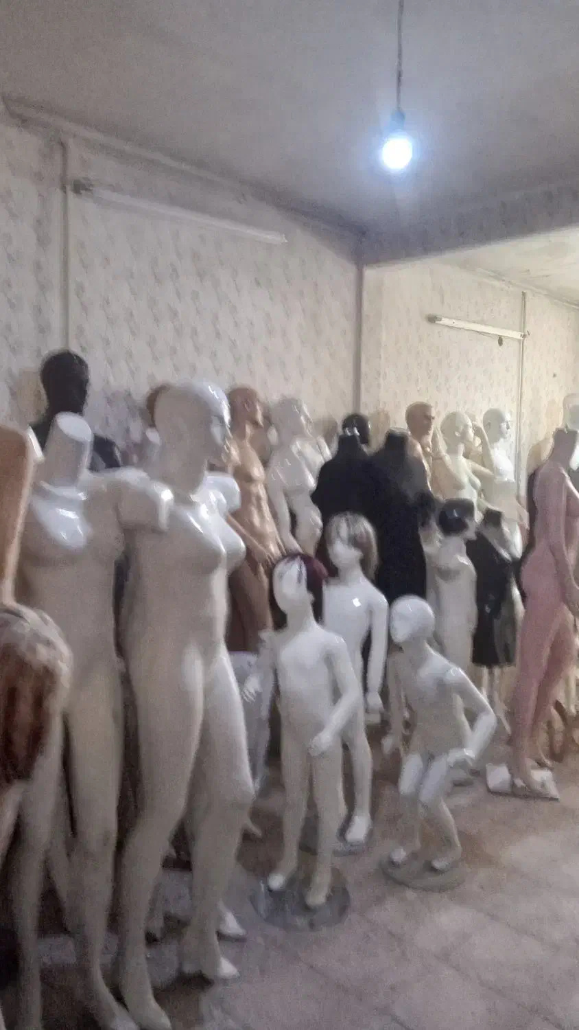 مانکن قفسه رگال میز کانتر|فروشگاه و مغازه|مشهد, رده|دیوار