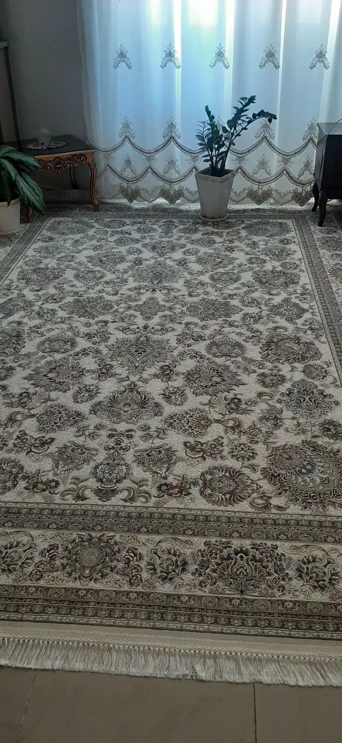 فرش۹متری|فرش|گلبهار, شهر جدید گلبهار|دیوار