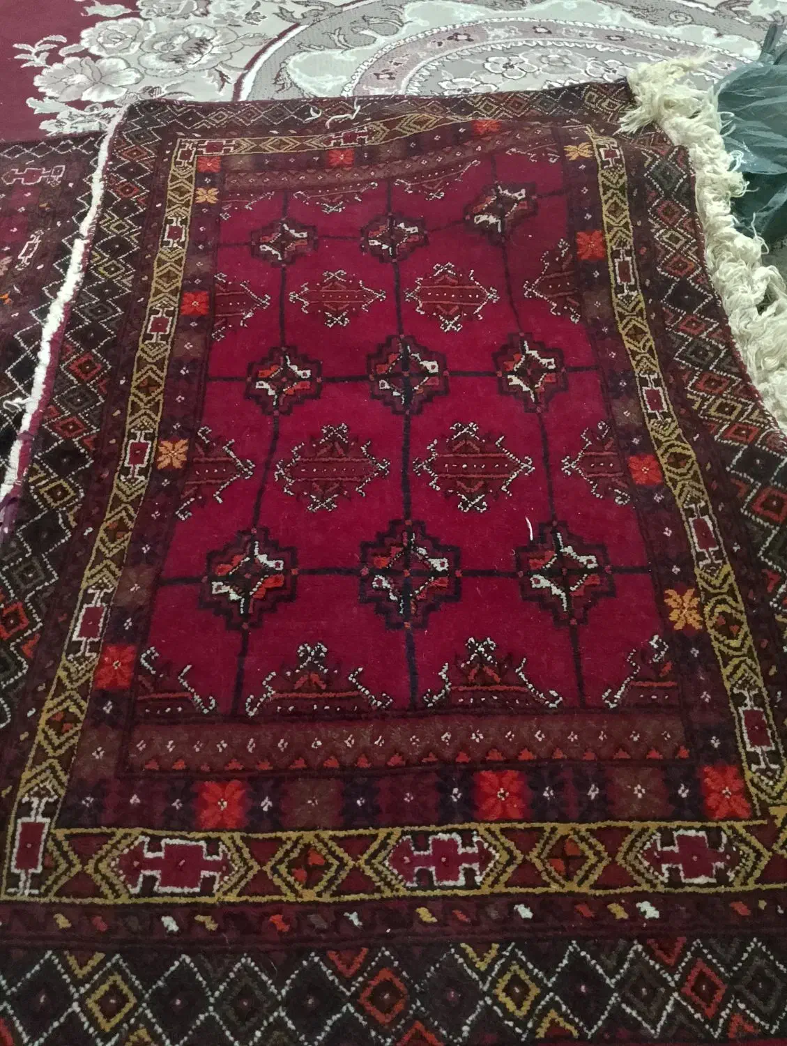 قالین 12متری دو عدد و بقیه هم دستباف فروشی|فرش|تایباد, |دیوار