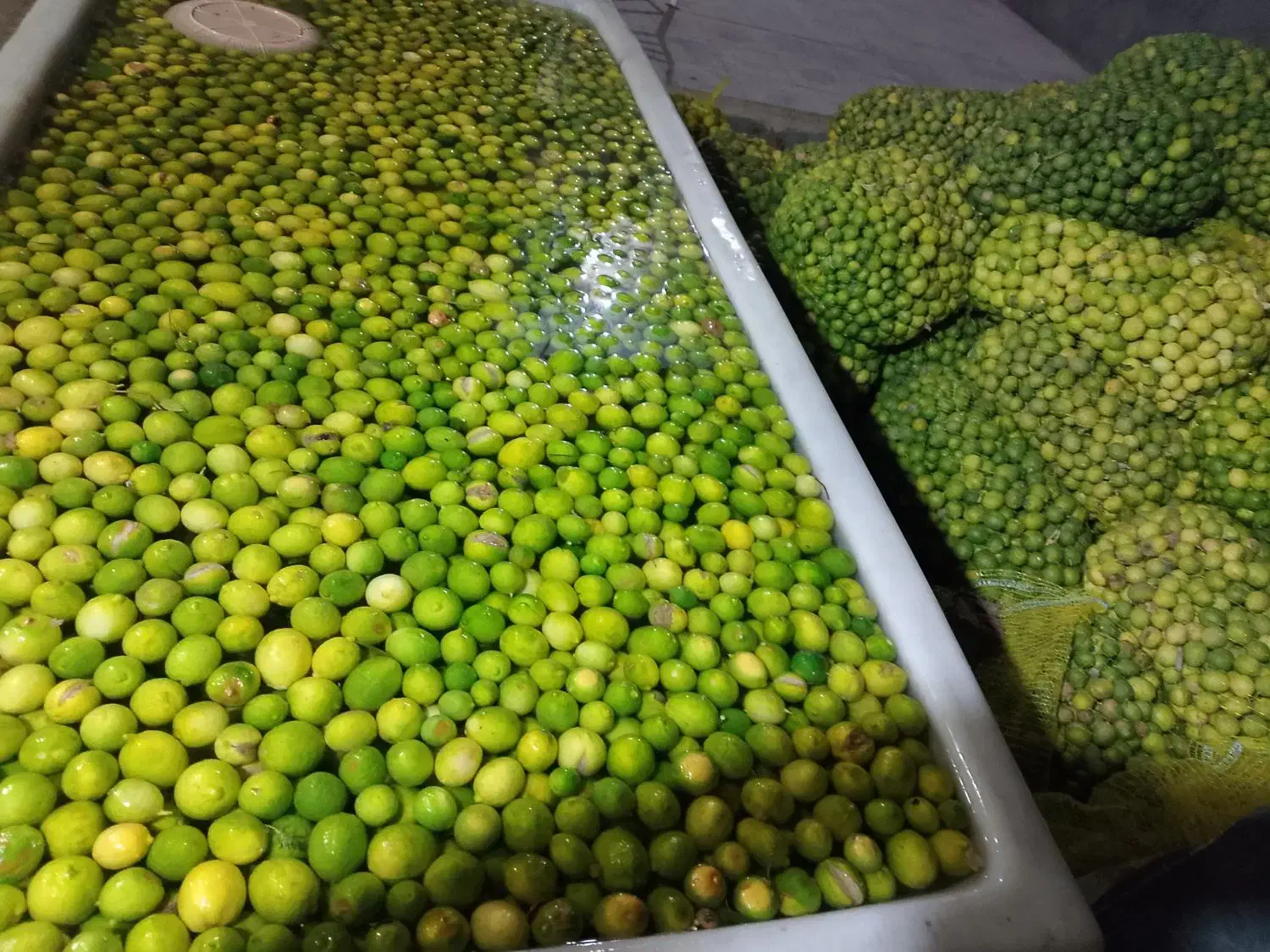 آبلیمو امساله درجه یک بدون تلخی|خوردنی و آشامیدنی|قم, چهار مردان|دیوار