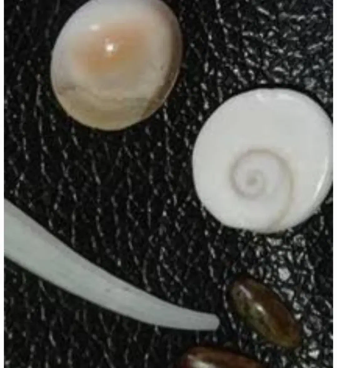 واگذاری|جواهرات|فولادشهر, C5|دیوار