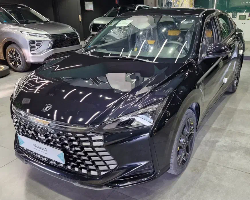 لاماری اکو - ۱۴۰۴ - مشکی|خودرو سواری و وانت|تهران, نیاوران|دیوار