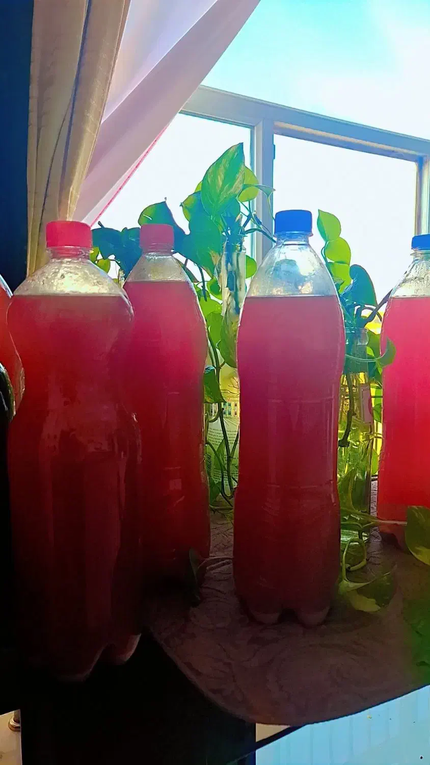 ترشی خانگی و آبغوره ۱۶۰|خوردنی و آشامیدنی|مشکیندشت, |دیوار