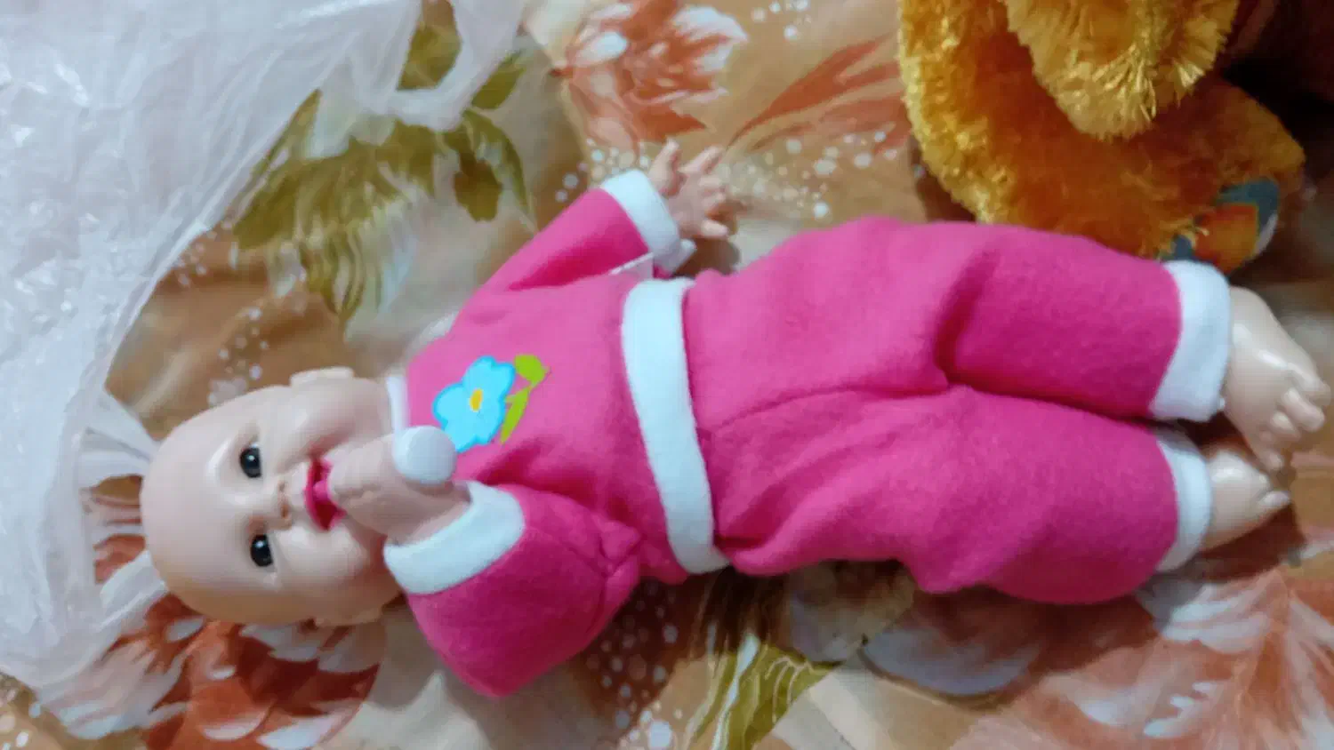 خرس. نی نی زیبا با کالسکه|اسباببازی بچه|فریدونکنار, |دیوار