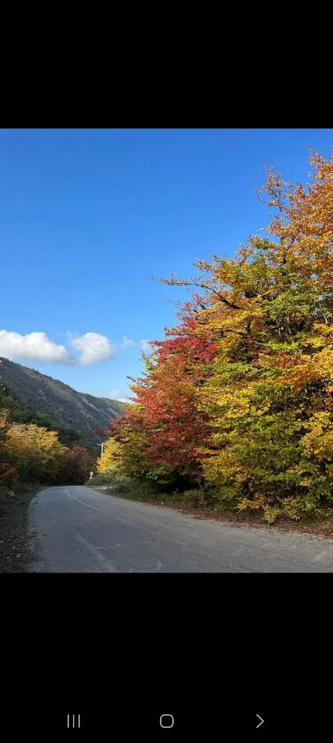اجاره ویلای جنگلی کوهستانی در روستای خلیندره|اجارهٔ کوتاه‌مدت ویلا و باغ|گرگان, |دیوار