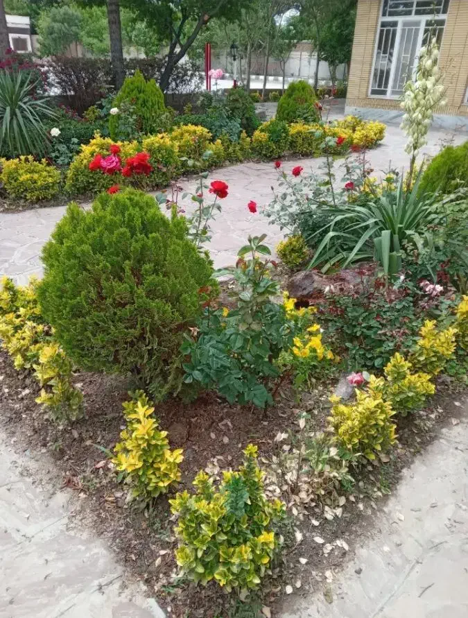 خدمات کلیه باغبانی باغچه کاری گلکاری کاشت گل وگیا|خدمات باغبانی و درختکاری|کرج, عظیمیه|دیوار