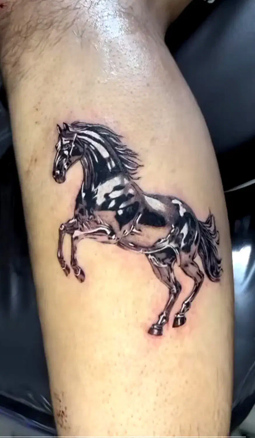 تتو پرند رباط|خدمات آرایشگری و زیبایی|پرند, فاز ۴|دیوار