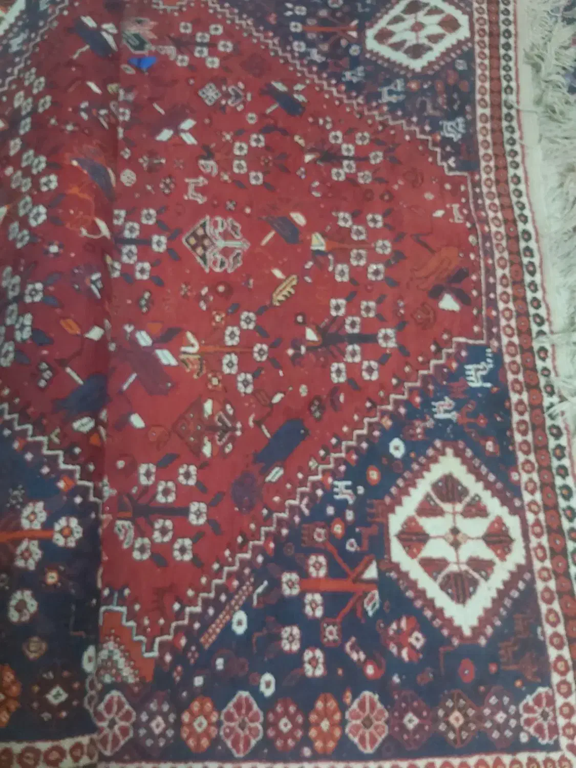 فرش ۶متری دستباف ترکی و نجف آبادی|فرش|شیراز, تحویلی|دیوار