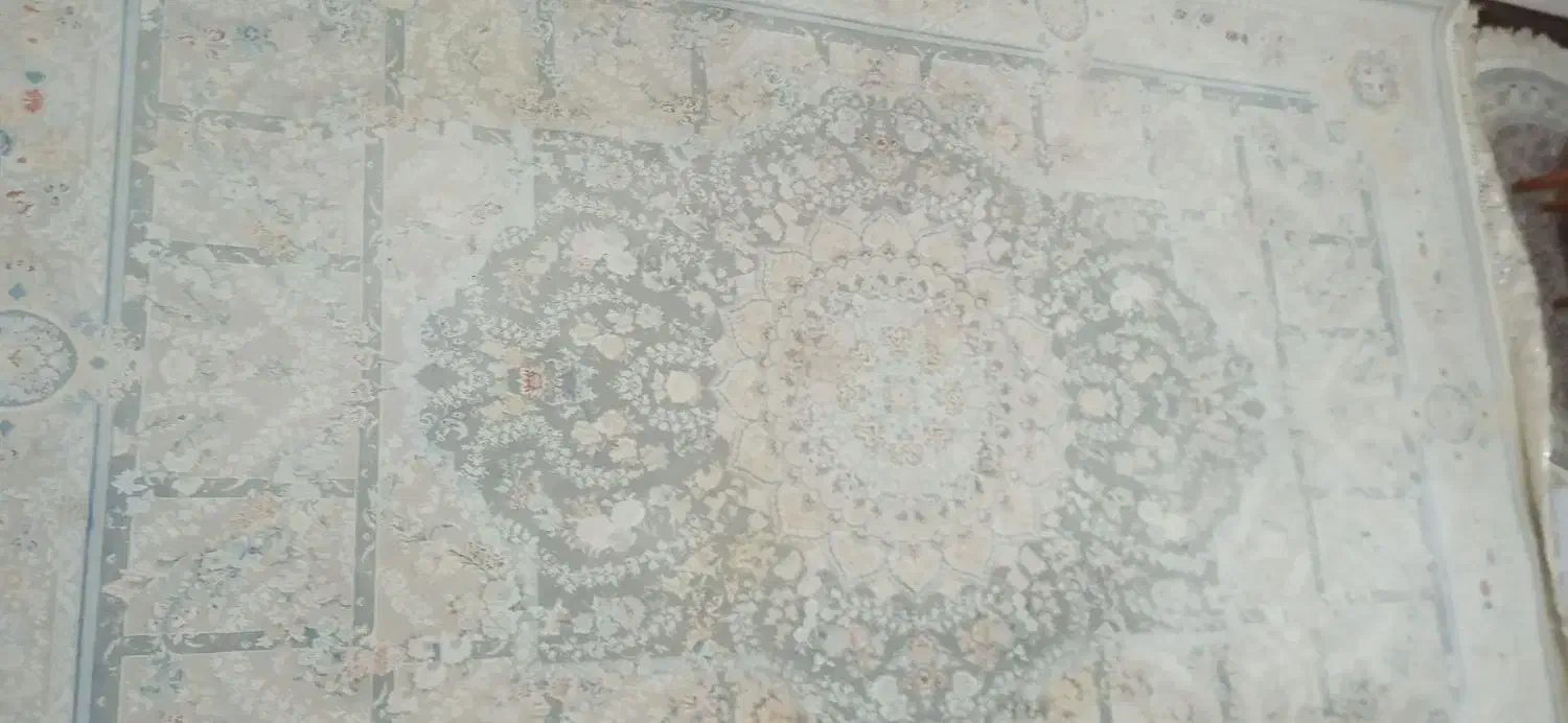 فرش سالم و تمیز 111111111|فرش|رباطکریم, الارد|دیوار