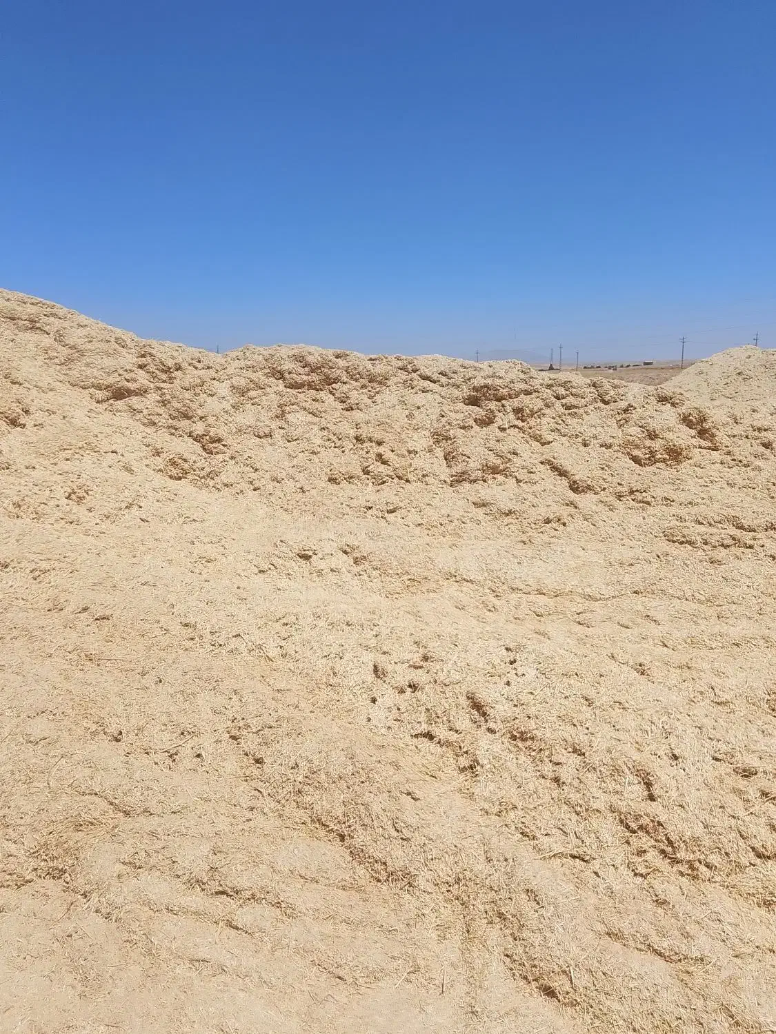 کاه.سفید.به.دونه.خاک|خدمات باغبانی و درختکاری|دهگلان, |دیوار