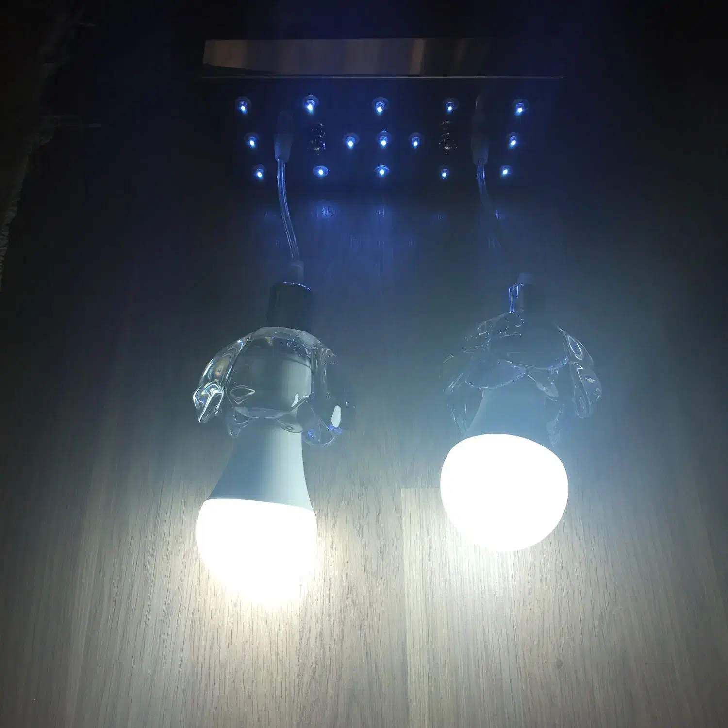 دو عدد لوستر دو شاخه ای|لوستر و چراغ آویز|تبریز, |دیوار