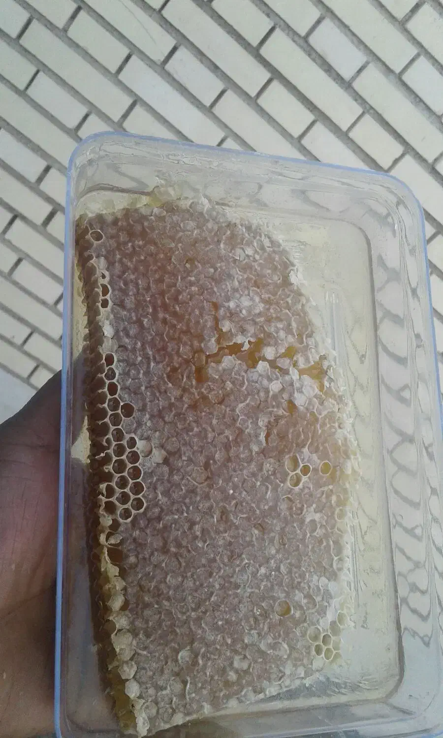 عسل درجه یک چهارمحال بختیاری|خوردنی و آشامیدنی|اردکان, |دیوار