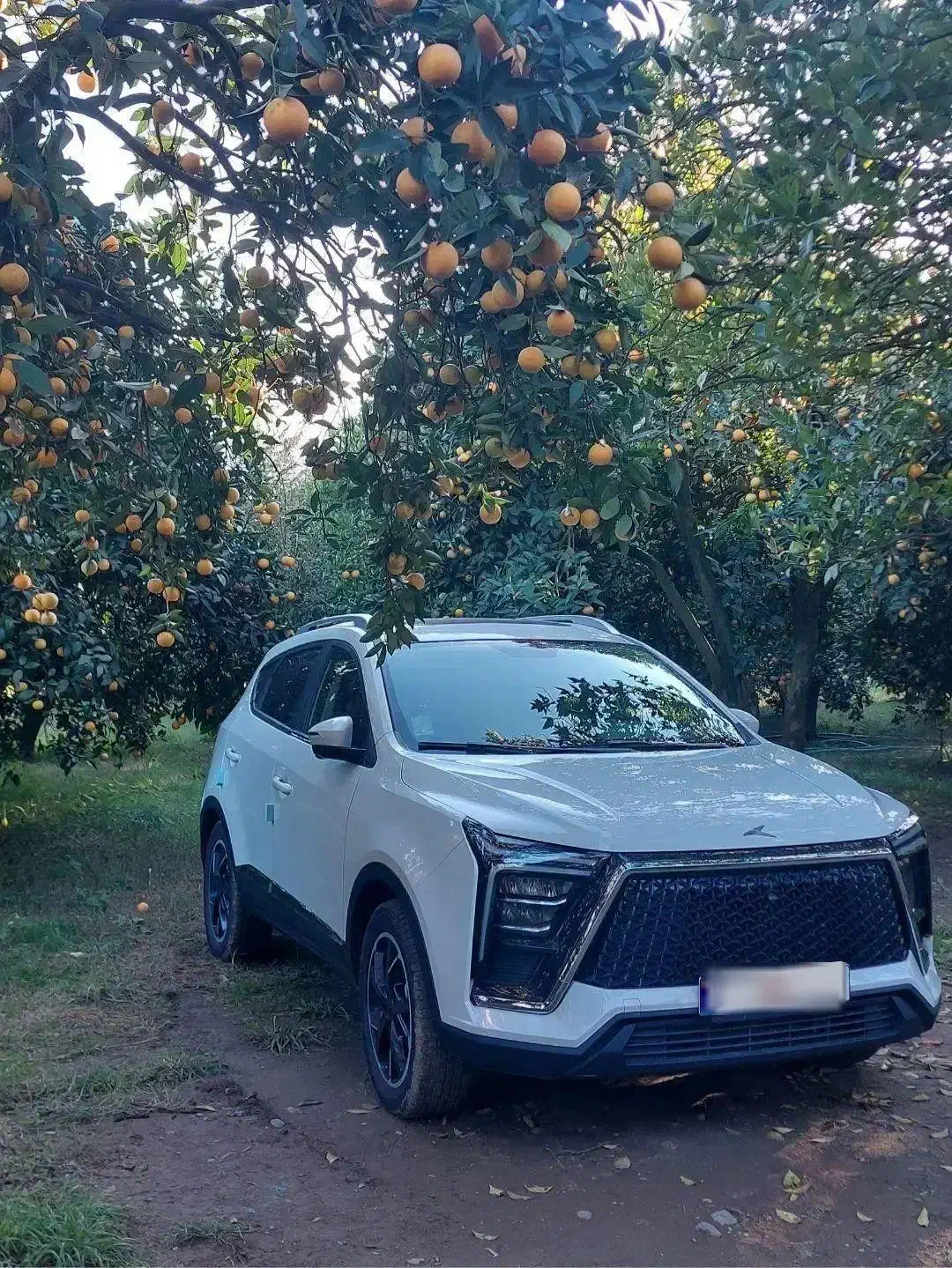 KMC X5|خودرو سواری و وانت|لاهیجان, انقلاب|دیوار