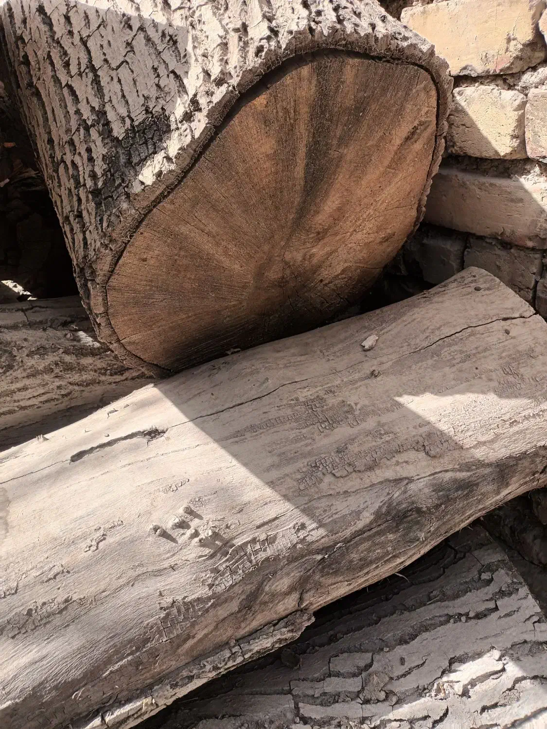 فروش چوب گردو|عمده‌فروشی|زیباشهر, |دیوار