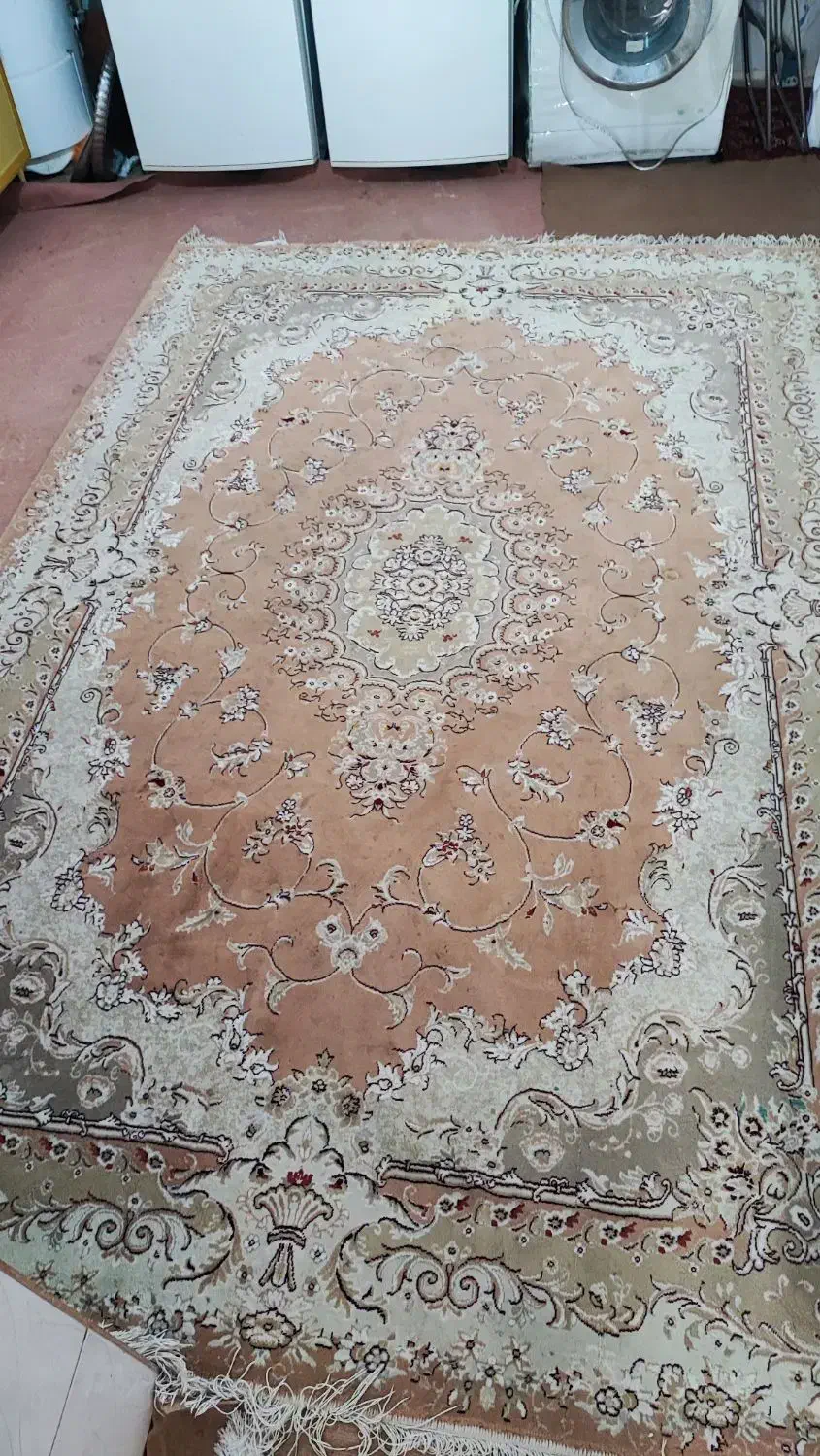 فرش ۶متری|فرش|اسفراین, |دیوار