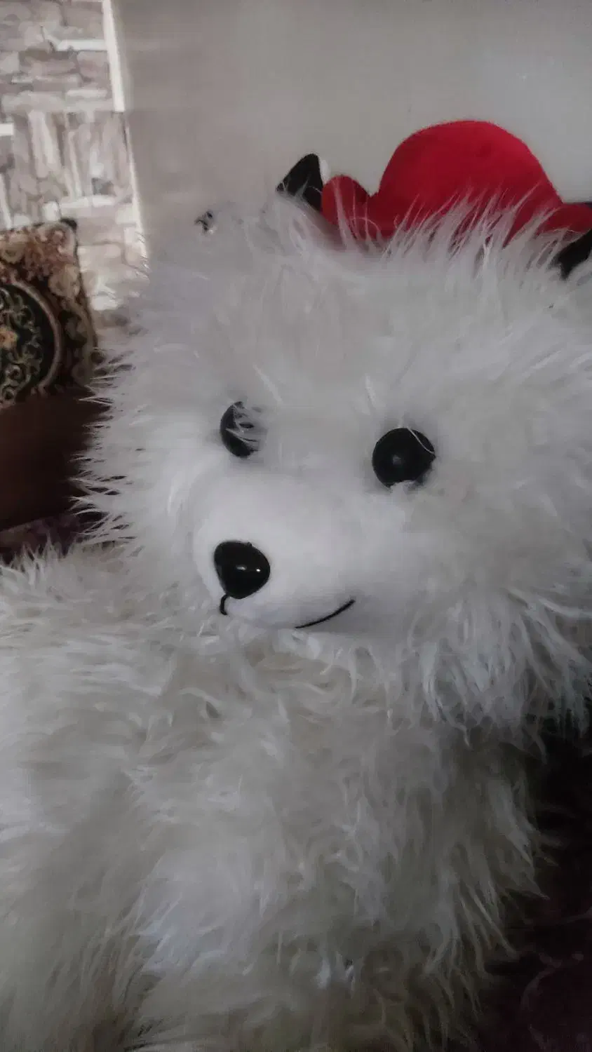 گربه پشمالو برای ویترین مغازه خوبه  تمیز فروشی|اسباب‌بازی بچه|مشهد, کوی سیدی|دیوار