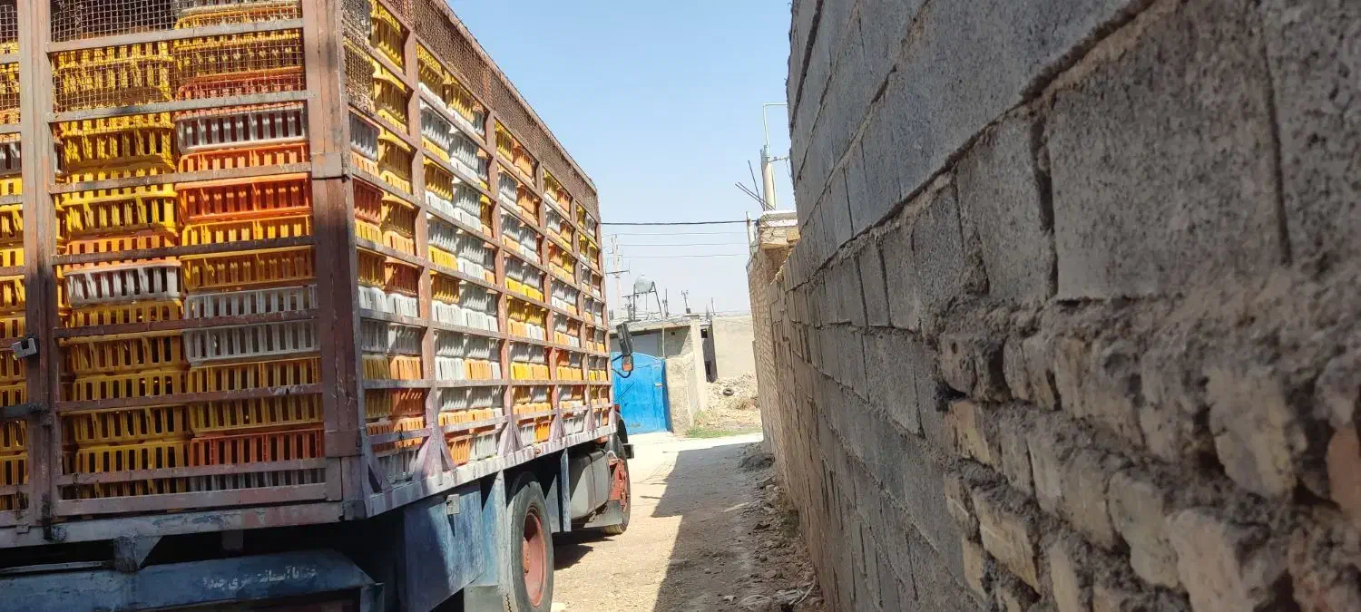 اتاق مسقف مشبک 350قفسی|خودرو سنگین|شیراز, کوشک بیدک|دیوار