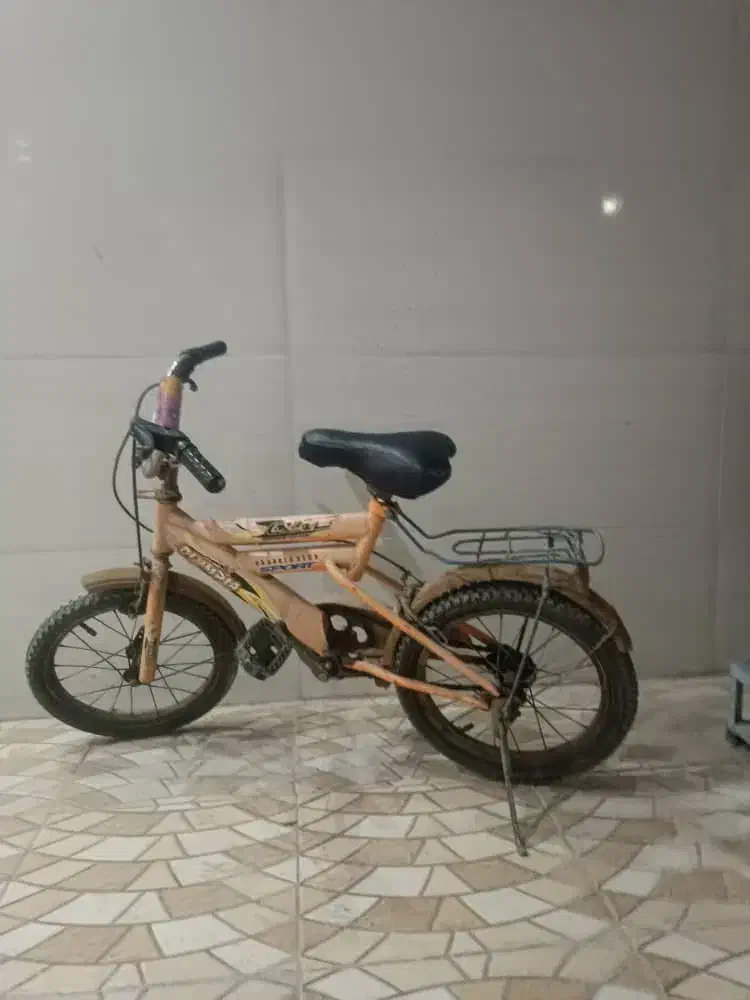 دوچرخه ۱۶|دوچرخه، اسکیت، اسکوتر|باوی, |دیوار