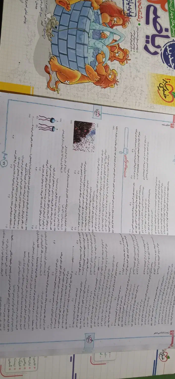 تعداد 11 کتاب  دهم و یازدهم تجربی  ویژه کنکوری ها|کتاب و مجله آموزشی|بم, |دیوار