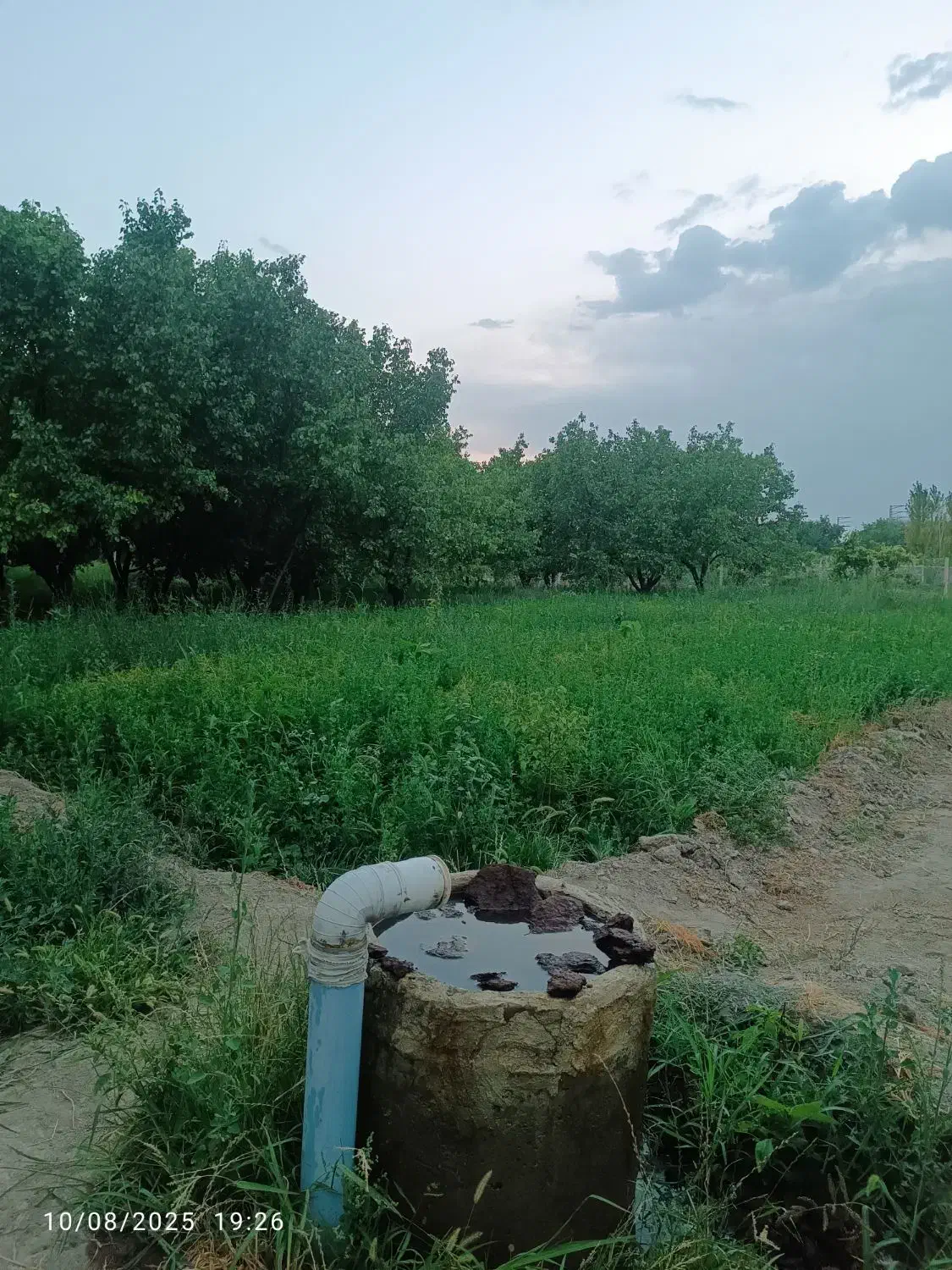 باغچه الوان و دامداری|فروش زمین و ملک کلنگی|نوشین شهر, |دیوار