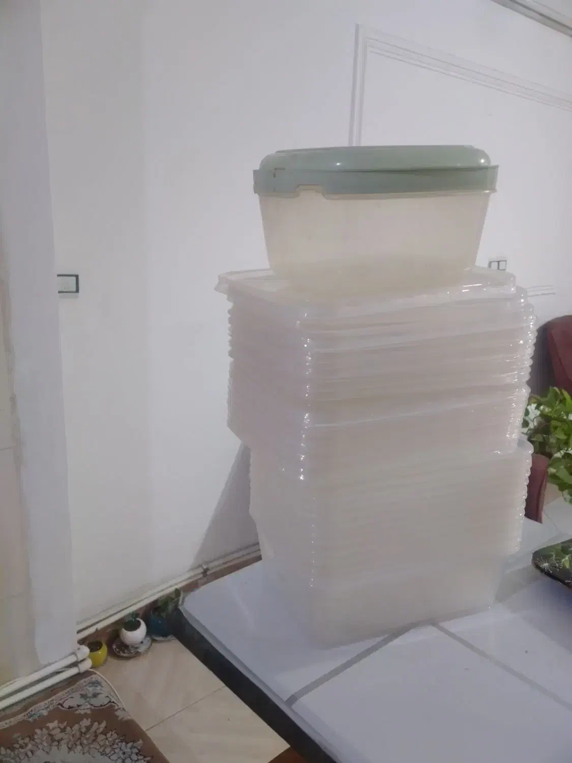 ظروف فریزری|ظروف نگهدارنده، پلاستیکی، یکبارمصرف|گلستان (تهران), |دیوار