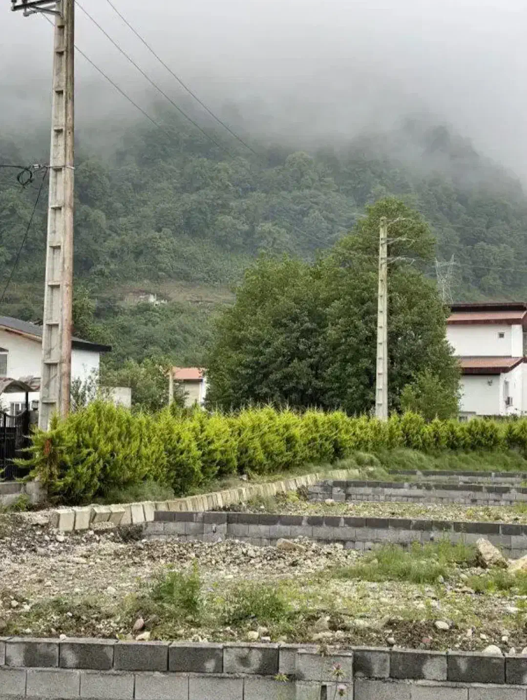 زمین داخل بافت مستقل و جنگلی چمستان|فروش زمین و ملک کلنگی|چمستان, |دیوار