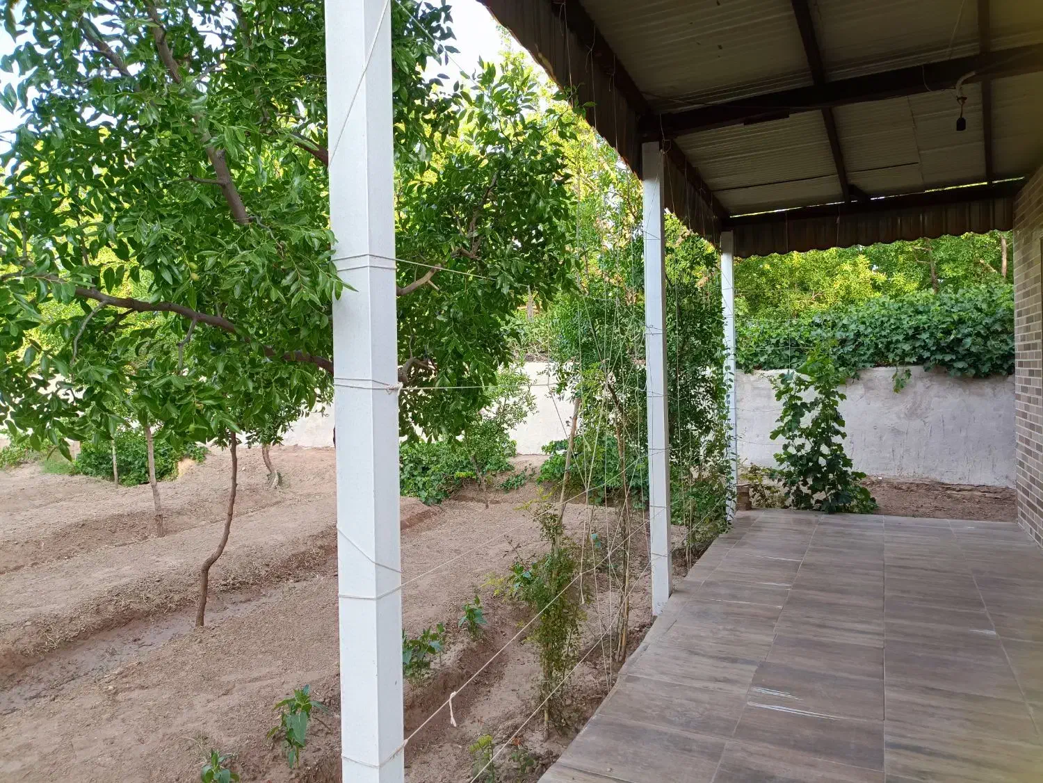 باغ ویلا ۱۱۰۰ متری واقع در تقاب|فروش خانه و ویلا|خوسف, |دیوار