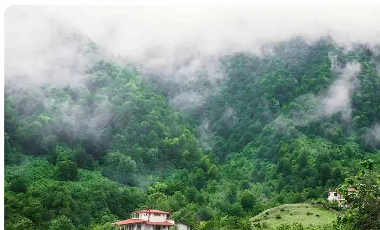 مسافرت|فعالیت داوطلبانه|اصفهان, دانشگاه اصفهان|دیوار