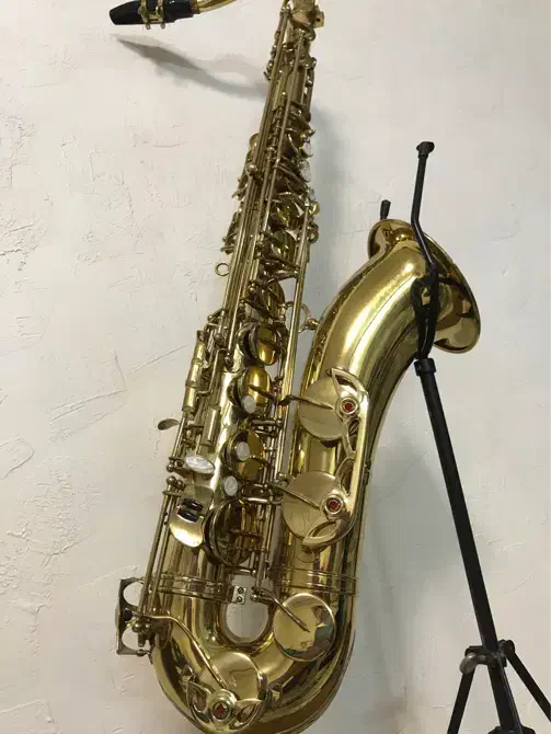 ساکسیفون تنور|سازهای بادی|اردبیل, |دیوار