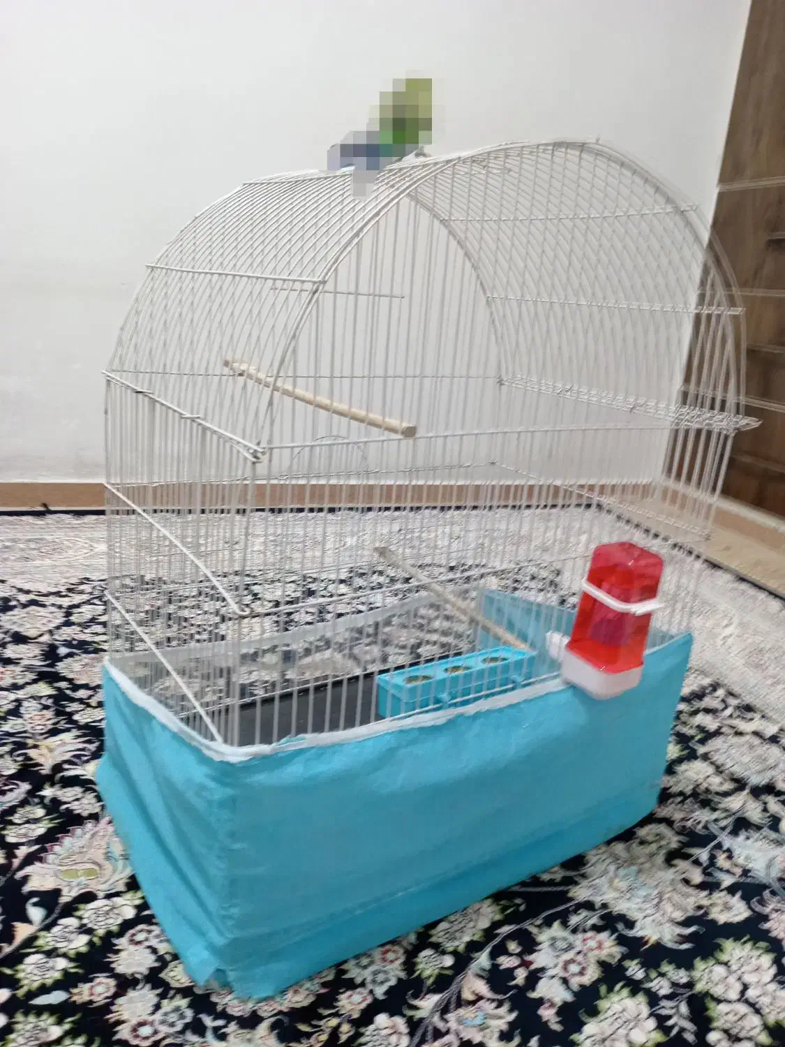 قفس پرنده|لوازم جانبی حیوانات|بوکان, |دیوار