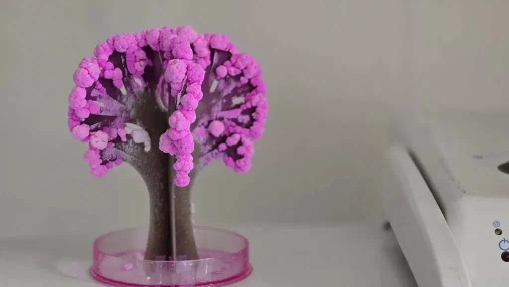 ماکت جادویی درخت|مجسمه، تندیس، ماکت|اصفهان, خواجو|دیوار