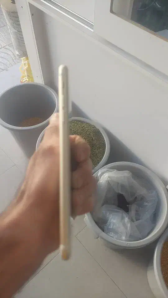 ایفون هفت سون پلاس ۲۵۶|موبایل|یاسوج, |دیوار