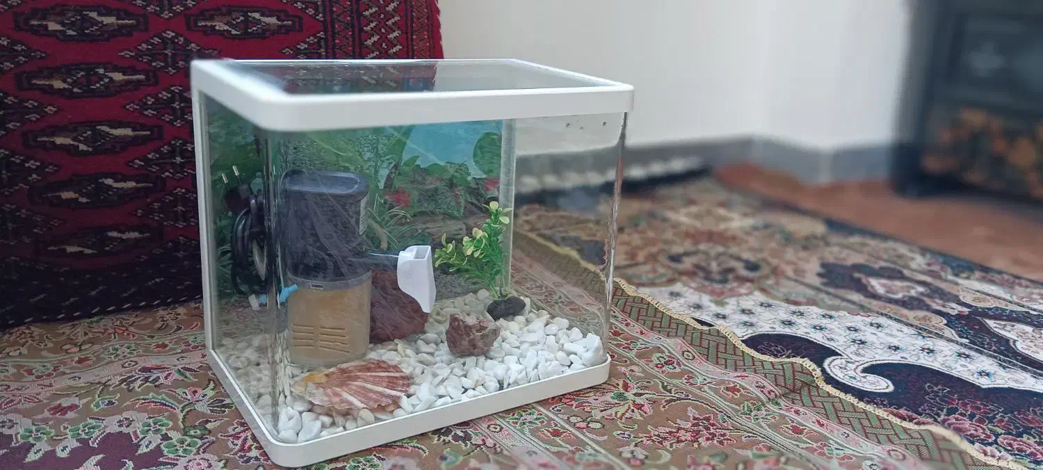 اکواریوم|ماهی|قم, پردیسان|دیوار