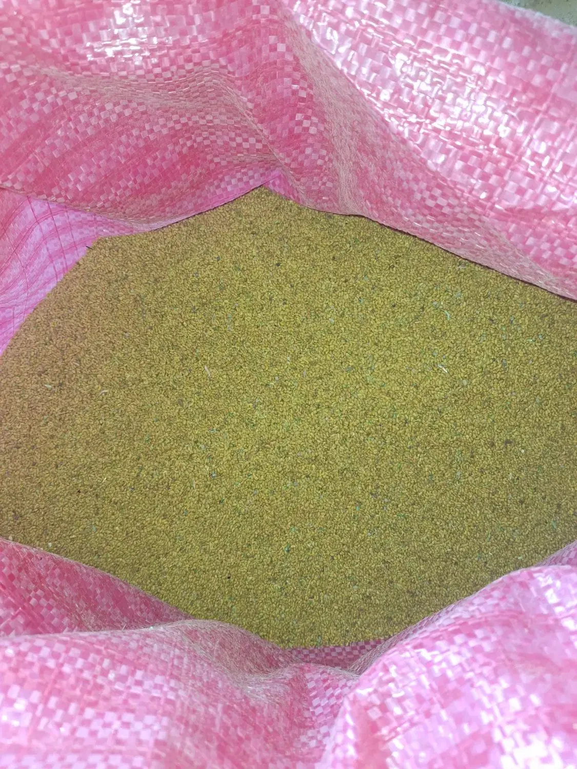 بذر یونجه|خدمات باغبانی و درختکاری|اسدآباد, |دیوار
