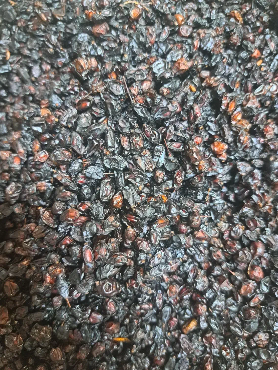 زرشک کوهی(آبگیری)|خوردنی و آشامیدنی|تهران, گمرک|دیوار