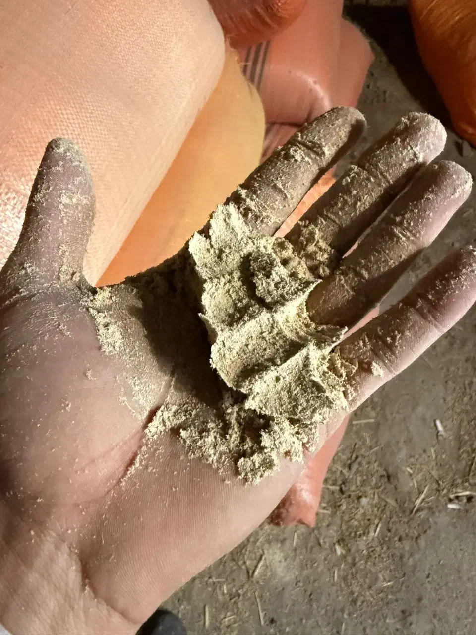 سبوس|لوازم جانبی حیوانات|شاندرمن, |دیوار