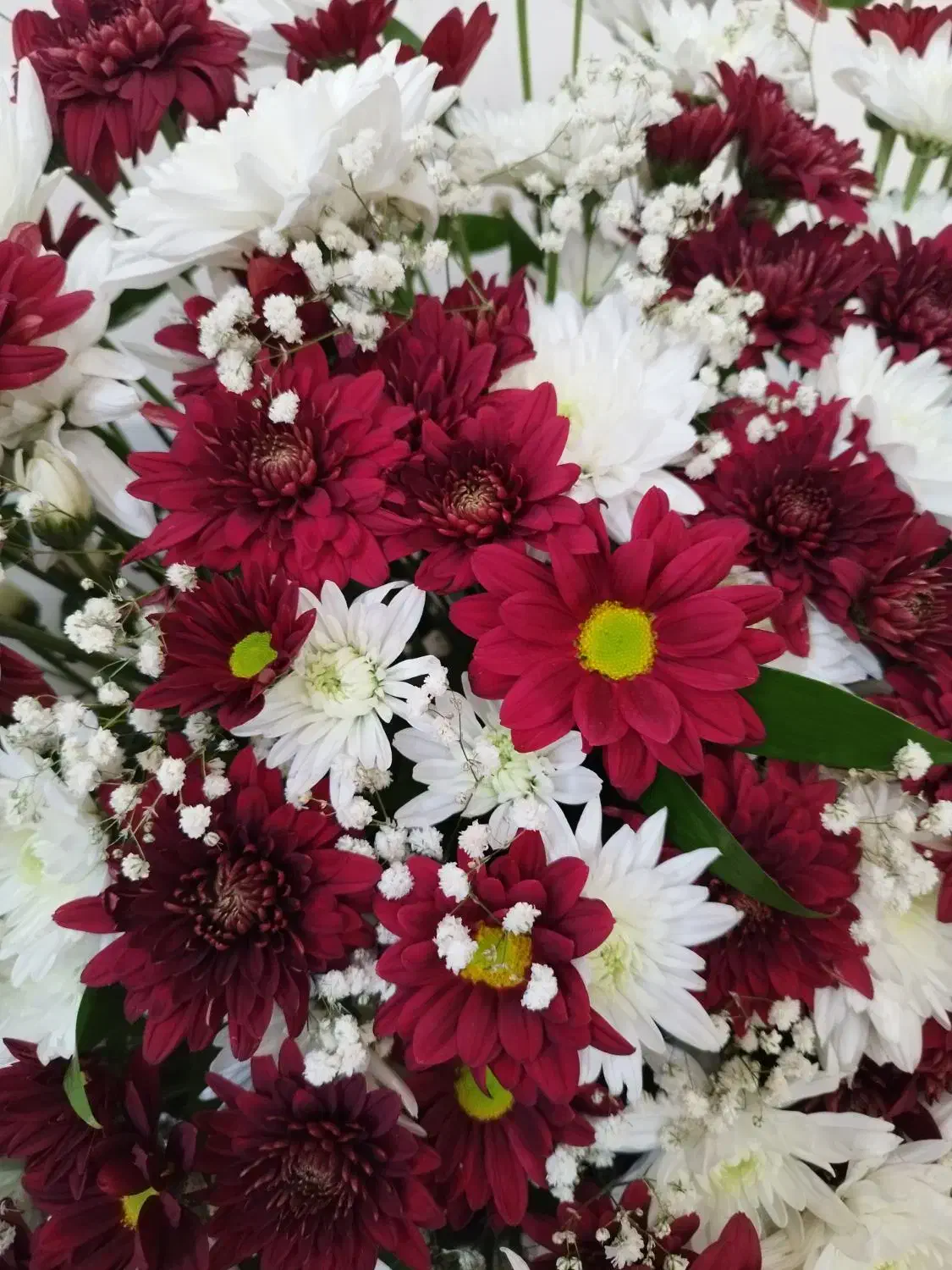 باکس گل طبیعی|گل و گیاه طبیعی|شیراز, شهرک سعدی|دیوار