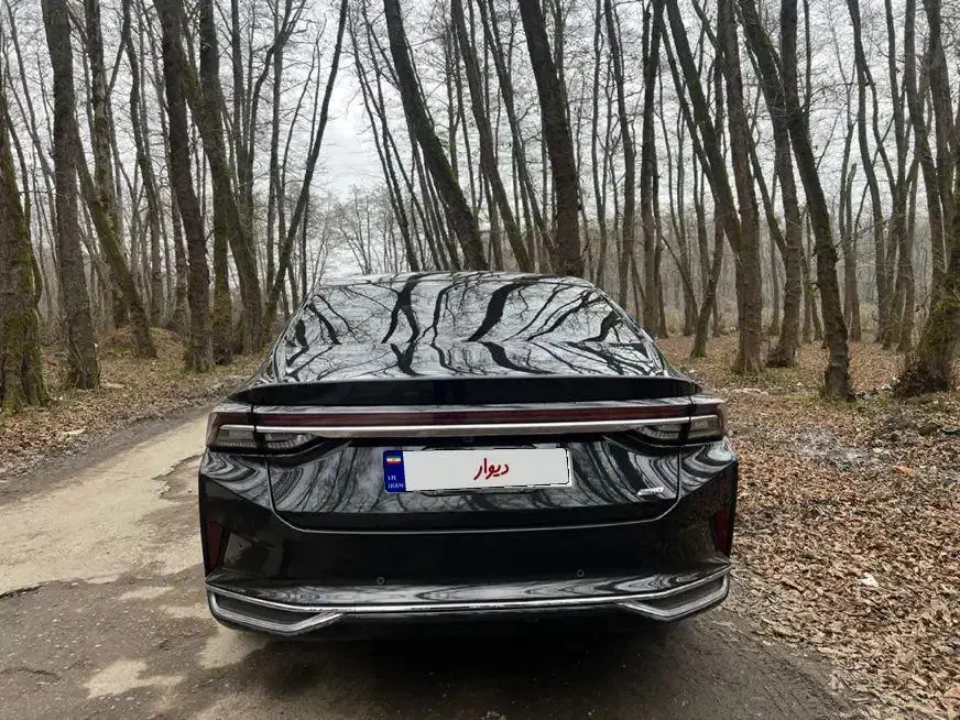 شاین مکس دانگ فانگ|خودرو سواری و وانت|رباطکریم, رباطکریم|دیوار