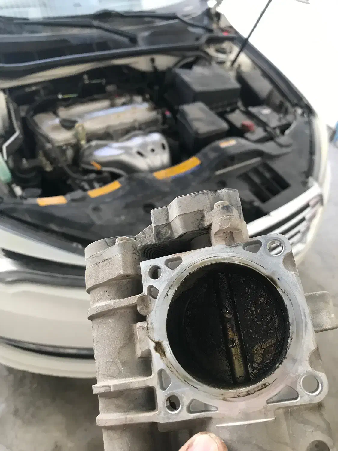 مشاوره رایگان خودرو|فعالیت داوطلبانه|کرمان, |دیوار