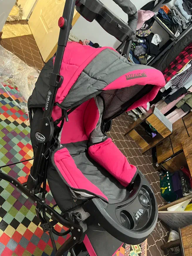 کالسکه دلیجان|کالسکه و لوازم جانبی|شیراز, گویم|دیوار