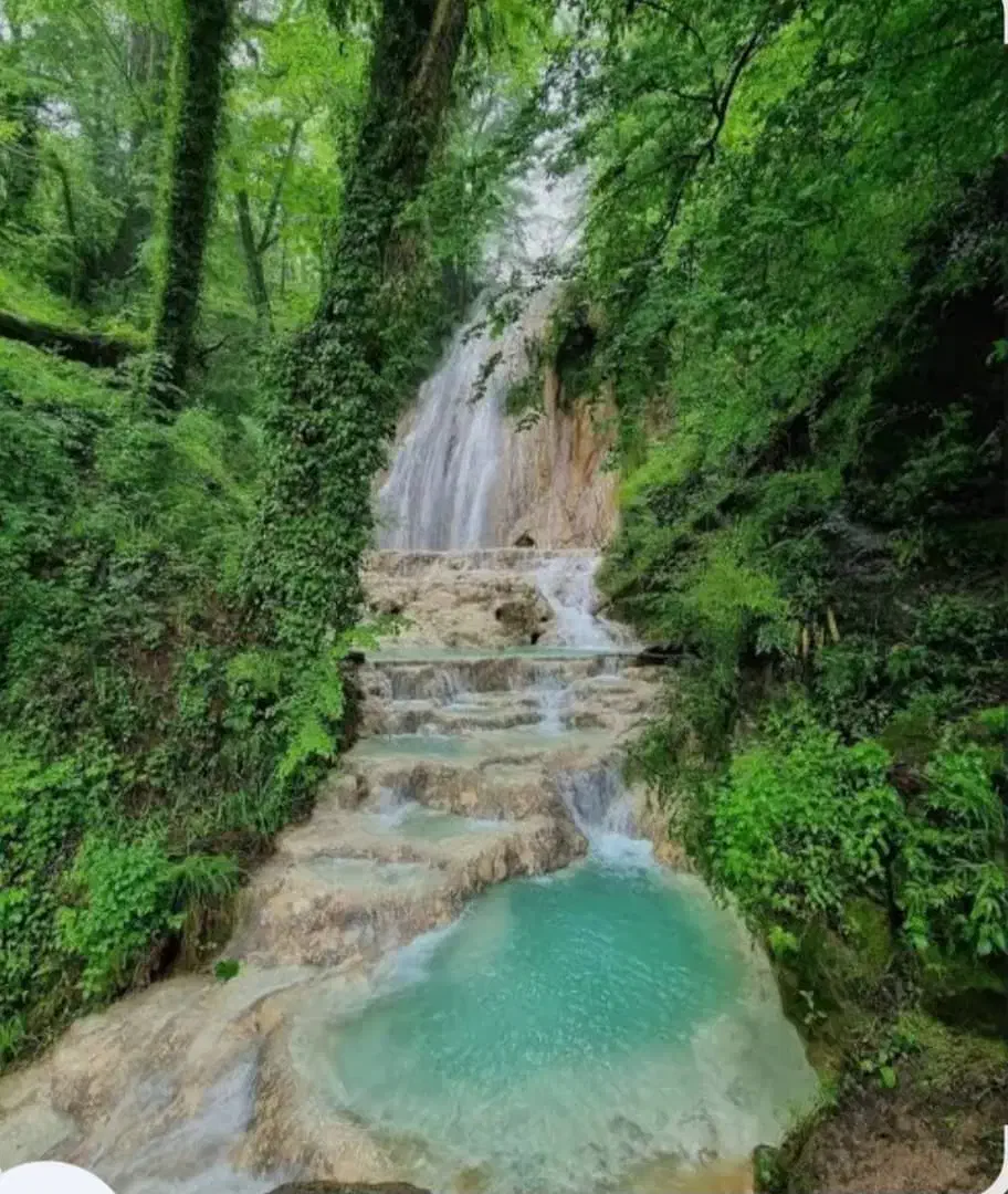 فروش زمین در لفور|فروش زمین و ملک کلنگی|آلاشت, |دیوار