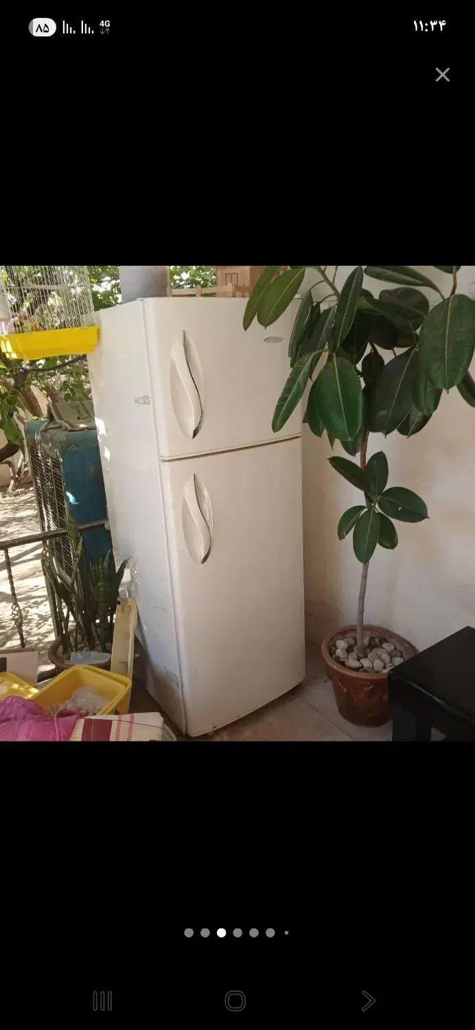 سمساری گل یاس|عمدهفروشی|بومهن, |دیوار